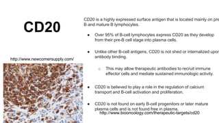 IHC Markers and Antibodies | PPTX