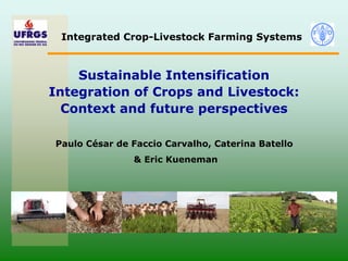 Integrated Crop-Livestock Farming Systems
Sustainable Intensification
Integration of Crops and Livestock:
Context and future perspectives
Paulo César de Faccio Carvalho, Caterina Batello
& Eric Kueneman
 
