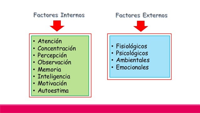 Factores que influyen en el aprendizaje humano