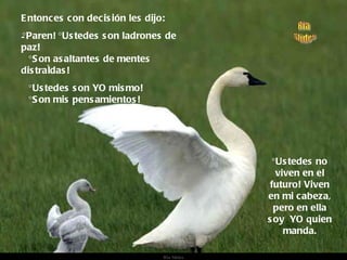 Entonces con decisión les dijo:  ¡Paren! ¡Ustedes son ladrones de paz!   ¡Son asaltantes de mentes distraídas!  ¡Ustedes son YO mismo!    ¡Son mis pensamientos! ¡Ustedes no viven en el futuro! Viven en mi cabeza, pero en ella soy  YO quien manda. 