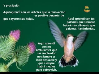 Y prosiguió: Aquí aprendí con los árboles que la renovación  es posible después de que cayeron sus hojas. Aquí aprendí con las palomas que siempre habrá más alimento que palomas hambrientas. Aqui aprendí con los ambulantes que un empleador no siempre es indispensable y que siempre habrá medios para sobrevivir. 