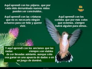 Aquí aprendi con los pájaros, que por cada nido derrumbado nuevos nidos pueden ser construidos. Aquí aprendí con los sonidos que por más solos que estemos, siempre habrá alguien para oírnos. Y aquí aprendi con los ancianos que las metas  siempre son viables de ser llevadas adelante, aunque sólo sea ganar en una apuesta de dados o en un juego de dominó. Aquí aprendí con las criaturas que no es necesario ningún esfuerzo para ser feliz y querer vivir. 