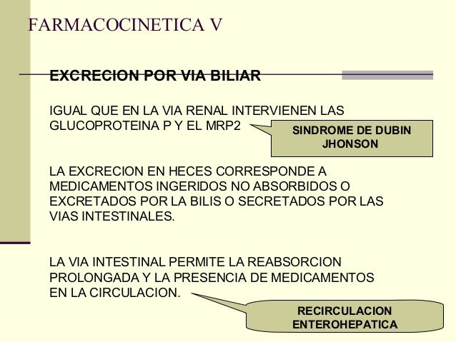Las ideas acerca de el poder del metabolismo españa