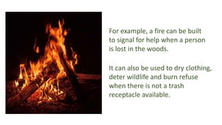 7 Fascinating And Cool Campfire Facts For Kids | PPTX