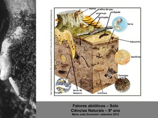 http://marianaideiasforadacaixa.files.wordpress.com/2010/11/fauna-e-flora-do-solo-importancia-pedologia.png




                                      Fatores abióticos – Solo

Maria João Drumond / setembro 2012
                                     Ciências Naturais – 8º ano
 
