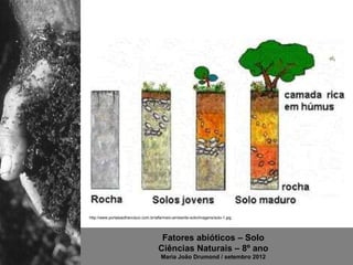 http://www.portalsaofrancisco.com.br/alfa/meio-ambiente-solo/imagens/solo-1.jpg




                                       Fatores abióticos – Solo
                                      Ciências Naturais – 8º ano
                                       Maria João Drumond / setembro 2012
 