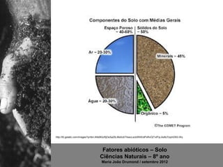http://t0.gstatic.com/images?q=tbn:ANd9GcRjOsXa2SLMsScbTIIsscLscbXfiIrEidPxRvOZ1xf7yLAx9U7zqmD5G-Wy




                                   Fatores abióticos – Solo
                                  Ciências Naturais – 8º ano
                                   Maria João Drumond / setembro 2012
 