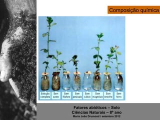 Composição química




 Fatores abióticos – Solo
Ciências Naturais – 8º ano
Maria João Drumond / setembro 2012
 