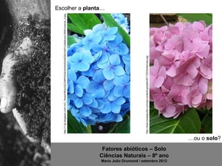 http://1.bp.blogspot.com/-hO_1kwwm9Go/UEZr5RHnGdI/AAAAAAAADdc/hyR1UXeatvw/s1600/viveiros_2.jpg
                                                                                                                                                                                 Escolher a planta…




                                                                                http://www.tocadacotia.com/wp-content/uploads/2011/03/hortencias.jpg
                                      Fatores abióticos – Solo

Maria João Drumond / setembro 2012
                                     Ciências Naturais – 8º ano
                                                                  …ou o solo?
 