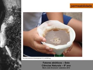 permeabilidade




http://www.lasalle.edu.br/assets/galerias/1161_dsc00825.jpg



                                         Fatores abióticos – Solo
                                        Ciências Naturais – 8º ano
                                         Maria João Drumond / setembro 2012
 