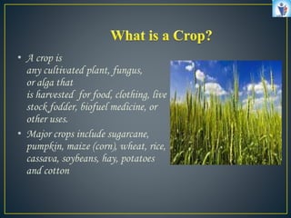 crops ppt | PPTX