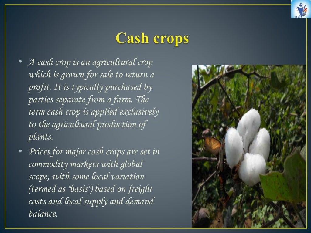 crops ppt