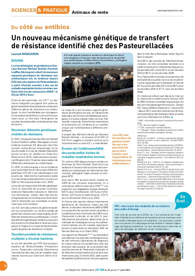 article nouveau né