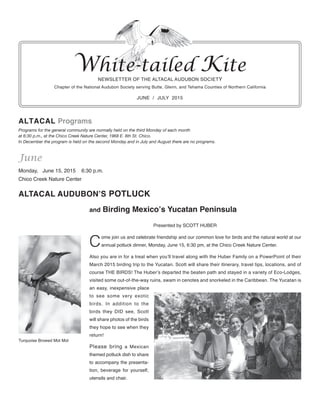 White-tailed Kite
NEWSLETTER OF THE ALTACAL AUDUBON SOCIETY
Chapter of the National Audubon Society serving Butte, Glenn, and Tehama Counties of Northern California
ALTACAL Programs
Programs for the general community are normally held on the third Monday of each month
at 6:30 p.m., at the Chico Creek Nature Center, 1968 E. 8th St. Chico.
In December the program is held on the second Monday and in July and August there are no programs.
C
ome join us and celebrate friendship and our common love for birds and the natural world at our
annual potluck dinner, Monday, June 15, 6:30 pm, at the Chico Creek Nature Center.
Also you are in for a treat when you’ll travel along with the Huber Family on a PowerPoint of their
March 2015 birding trip to the Yucatan. Scott will share their itinerary, travel tips, locations, and of
course THE BIRDS! The Huber’s departed the beaten path and stayed in a variety of Eco-Lodges,
visited some out-of-the-way ruins, swam in cenotes and snorkeled in the Caribbean. The Yucatan is
an easy, inexpensive place
to see some very exotic
birds. In addition to the
birds they DID see, Scott
will share photos of the birds
they hope to see when they
return!
Please bring a Mexican
themed potluck dish to share
to accompany the presenta-
tion, beverage for yourself,
utensils and chair.
JUNE / JULY 2015
and Birding Mexico’s Yucatan Peninsula
Presented by SCOTT HUBER
June
Monday, June 15, 2015 6:30 p.m.
Chico Creek Nature Center
ALTACAL AUDUBON’S POTLUCK
Turquoise Browed Mot Mot
 