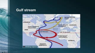 Gulf stream
 