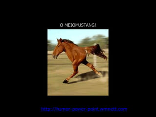 O MEIOMUSTANG! Veja mais em: http://humor-power-point.wmnett.com