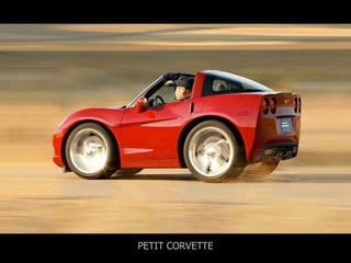 PETITCORVETTE
