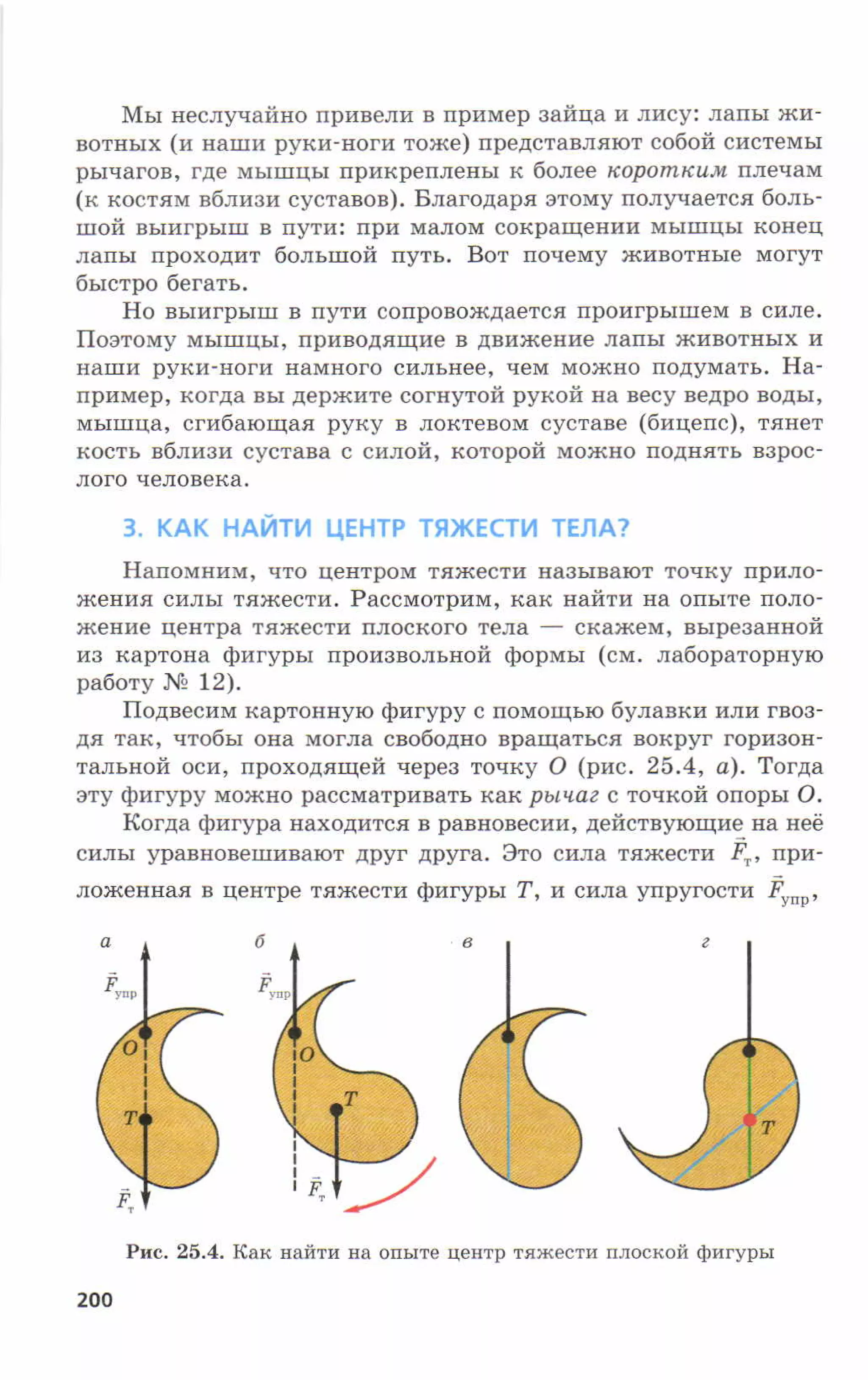 7fg 140306091257-phpapp01