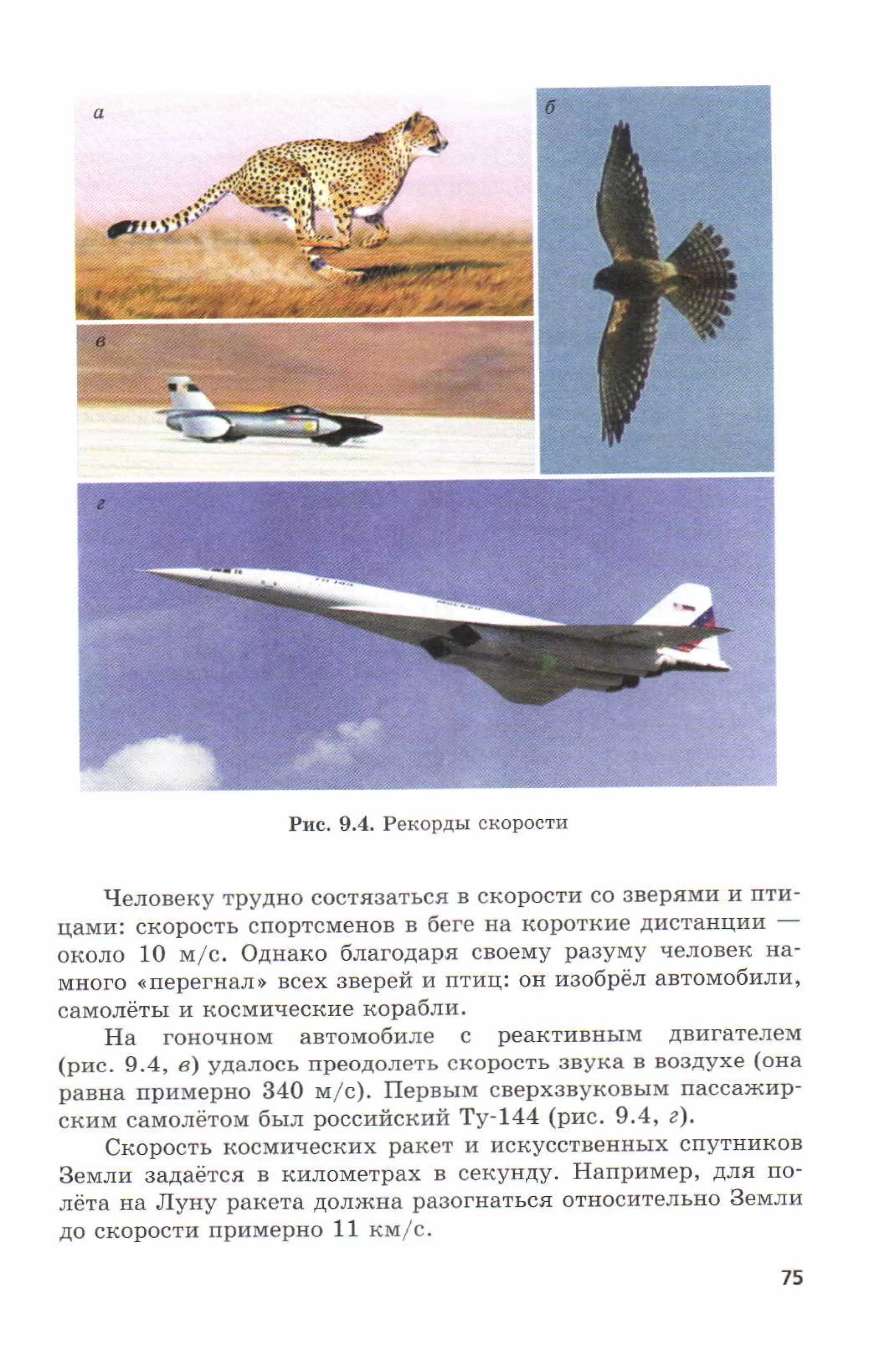 7fg 140306091257-phpapp01