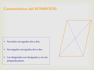 Características del ROMBOIDE:

•  Sus lados son iguales dos a dos.
•  Sus ángulos son iguales dos a dos.
•  Las diagonales son desiguales y no son
perpendiculares.

 