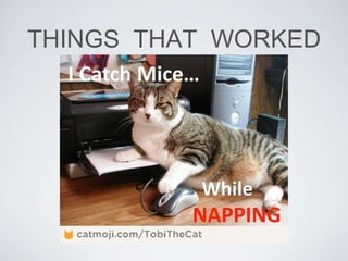 THINGS THAT WORKED
 