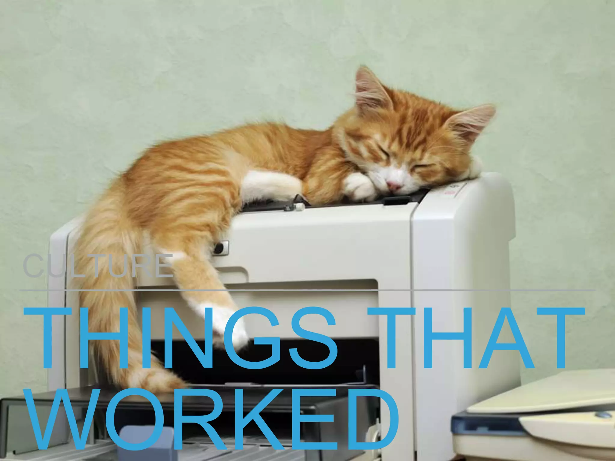 THINGS THAT
WORKED
CULTURE
 