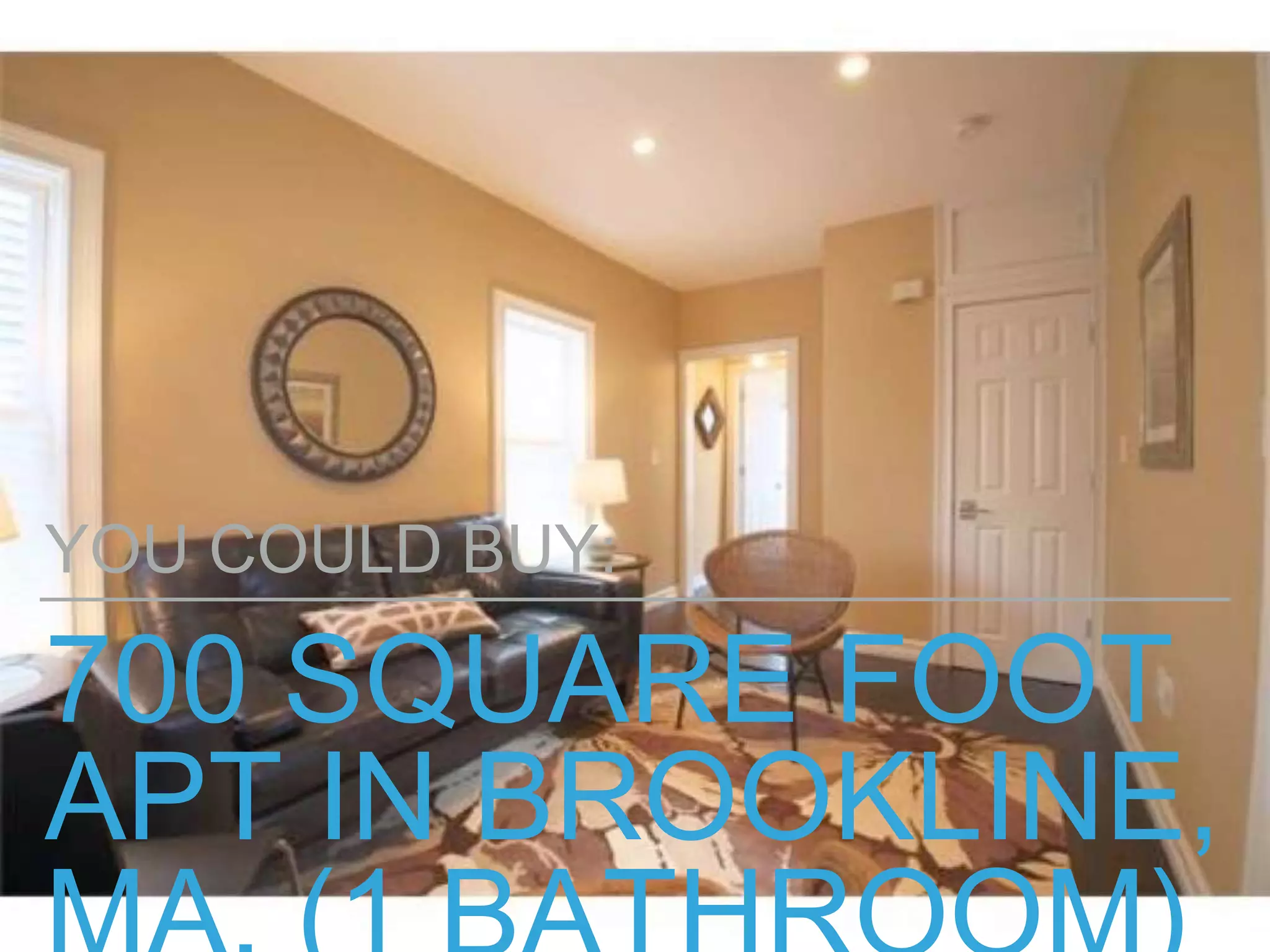 700 SQUARE FOOT
APT IN BROOKLINE,
YOU COULD BUY:
 