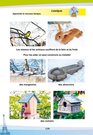 118
Lexique
Apprends le nouveau lexique.
Les oiseaux et les animaux souffrent de la faim et du froid.
P
our les aider on peut construire ou installer
des mangeoires des abreuvoirs
				
des nichoirs
 