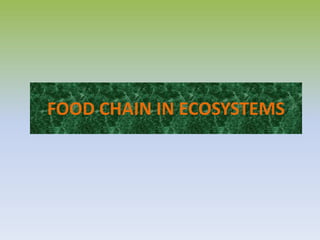 FOOD CHAIN IN ECOSYSTEMS 