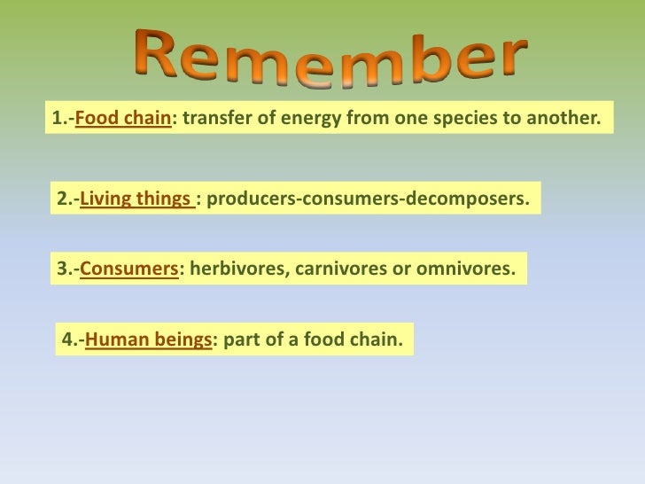 Food Chains in Ecosystems Biology Diagrams