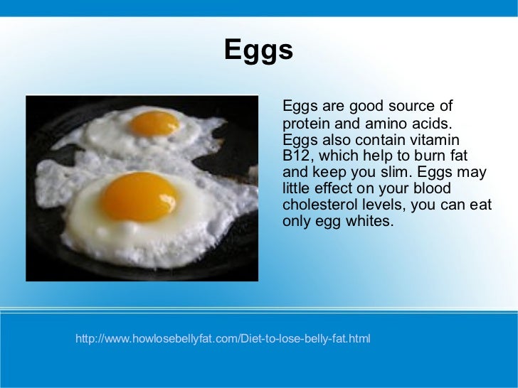 Egg Yolk Help Lose Weight - consumernews