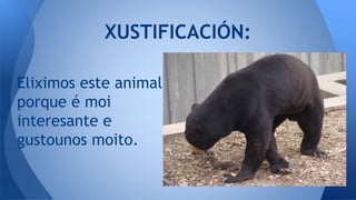 Eliximos este animal
porque é moi
interesante e
gustounos moito.
XUSTIFICACIÓN:
 