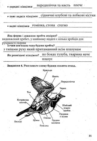 7_gdz_brz_s_2015.pdf Біологія зошит 7 клас