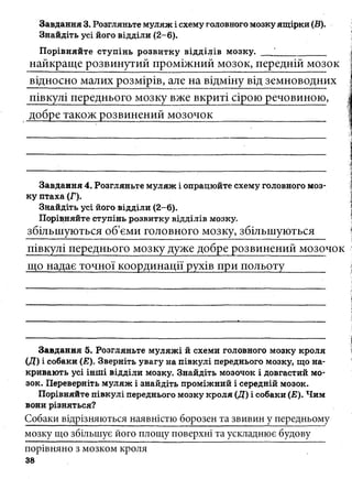 7_gdz_brz_s_2015.pdf Біологія зошит 7 клас