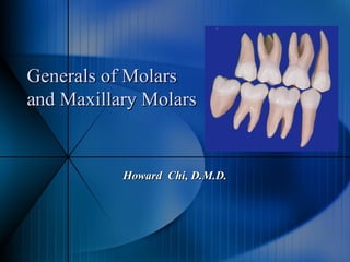 Generals of MolarsGenerals of Molars
and Maxillary Molarsand Maxillary Molars
Howard Chi, D.M.D.Howard Chi, D.M.D.
 