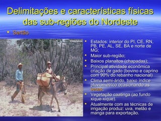 Delimitações e características físicas
    das sub-regiões do Nordeste
 Sertão
                     Estados: interior do PI, CE, RN,
                      PB, PE, AL, SE, BA e norte de
                      MG;
                     Maior sub-região;
                     Baixos planaltos (chapadas);
                     Principal atividade econômica
                      criação de gado (bovino e caprino
                      com 90% do rebanho nacional)
                     Clima semi-árido, baixo índice
                      pluviométrico ocasionando as
                      secas;
                     Vegetação caatinga (ao fundo
                      xique-xique).
                     Atualmente com as técnicas de
                      irrigação produz: uva, melão e
                      manga para exportação.
 