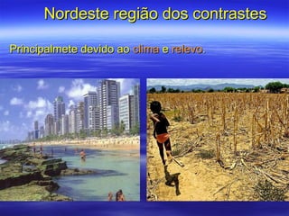 Nordeste região dos contrastes

Principalmete devido ao clima e relevo.
 