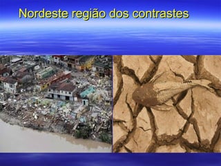 Nordeste região dos contrastes
 
