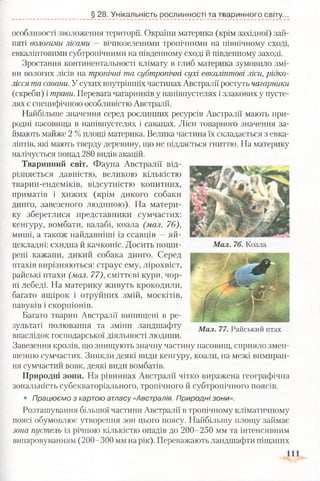 особливості зволоження території. Окраїни материка (крім західної) зай­
няті вологими лісами —вічнозеленими тропічними на північному сході,
евкаліптовими субтропічними на південному сході й південному заході.
Зростання континентальності клімату в глиб материка зумовило змі­
ни вологих лісів на тропічні та субтропічні сухі евкаліптові ліси, рідко­
лісся та савани. У сухих внутрішніх частинах Австралії ростуть чагарники
(скреби) і трави. Перевага чагарників у напівпустелях і злакових у пусте­
лях є специфічною особливістю Австралії.
Найбільше значення серед рослинних ресурсів Австралії мають при­
родні пасовища в напівпустелях і саванах. Ліси товарного значення за­
ймають майже 2 %площі материка. Велика частина їх складається з евка­
ліптів, які мають тверду деревину, що не піддається гниттю. На материку
налічується понад 280 видів акацій.
Тваринний світ. Фауна Австралії від­
різняється давністю, великою кількістю
тварин-ендеміків, відсутністю копитних,
приматів і хижих (крім дикого собаки
динго, завезеного людиною). На матери­
ку збереглися представники сумчастих:
кенгуру, вомбати, валабі, коала (мал. 76),
миші, а також найдавніші із ссавців —яй­
цекладні: єхидна й качконіс. Досить поши­
рені кажани, дикий собака динго. Серед
птахів вирізняються: страус ему, лірохвіст,
райські птахи (мал. 77), сміттєві кури, чор­
ні лебеді. На материку живуть крокодили,
багато ящірок і отруйних змій, москітів,
павуків і скорпіонів.
Багато тварин Австралії винищені в ре­
зультаті полювання та зміни ландшафту
внаслідок господарської діяльності людини.
Завезення кролів, що знищують значну частину пасовищ, сприяло змен­
шенню сумчастих. Зникли деякі види кенгуру, коали, на межі вимиран­
ня сумчастий вовк, деякі види вомбатів.
Природні зони. На рівнинах Австралії чітко виражена географічна
зональність субекваторіального, тропічного й субтропічного поясів.
• Працюємо з картою атласу «.Австралія. Природні зони».
Розташування більшої частини Австралії в тропічному кліматичному
поясі обумовлює утворення зон цього поясу. Найбільшу площу займає
зона пустель із річною кількістю опадів до 200-250 мм та інтенсивним
випаровуванням (200-300 мм на рік). Переважають ландшафти піщаних
§ 28. Унікальність рослинності та тваринного світу...
Мал. 77. Райськи й птах
 