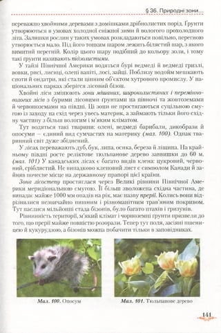 § 36. Природні зони.
переважно хвойними деревами з домішками дрібнолистих порід. Ґрунти
утворюються в умовах холодної сніжної зими й вологого прохолодного
літа. Залишки рослин у таких умовах розкладаються повільно, перегною
утворюється мало. Під його тонким шаром лежить білястий шар, з якого
вимитий перегній. Колір цього шару подібний до кольору золи, і тому
такі ґрунти називають підзолистими.
У тайзі Північної Америки водяться бурі ведмеді й ведмеді гризлі,
вовки, рисі, лисиці, олені вапіті, лосі, зайці. Поблизу водойм мешкають
єноти й ондатри, які стали цінним об’єктом хутрового промислу. У на­
ціональних парках зберігся лісовий бізон.
Хвойні ліси змінюють зони мішаних, широколистяних і перемінно-
вологих лісів з бурими літними ґрунтами на півночі та жовтоземами
й червоноземами на півдні. Ці зони не простягаються суцільною сму­
гою із заходу на схід через увесь материк, а займають тільки його схід­
ну частину з більш вологим і м’яким кліматом.
Тут водяться такі тварини: олені, ведмеді барибали, дикобрази й
опосуми —єдиний вид сумчастих на материку (мал. 100). Однак тва­
ринний світ дуже збіднений.
У лісах переважають дуб, бук, липа, осика, береза й ліщина. На край­
ньому півдні росте реліктове тюльпанове дерево заввишки до 60 м.
(мал. 101) У канадських лісах є багато видів клена: цукровий, черво­
ний, сріблястий. Не випадково кленовий лист є символом Канади й за­
йняв почесне місце на державному прапорі цієї країни.
Зона лісостепу простяглася через Великі рівнини Північної Аме­
рики меридіональною смугою. Її більш зволожена східна частина, де
випадає майже 1000 мм опадів на рік, має назву прерії. Колись вони від­
різнялися незвичайно пишним і різноманітним трав’яним покривом.
Тут паслися мільйонні стада бізонів, було багато птахів і гризунів.
Рівнинність території, м’який клімат і чорноземні ґрунти призвели до
того, що прерії майже повністю розорали. Тепер тут поля, засіяні пшени­
цею й кукурудзою, а бізонів можна побачити тільки в заповідниках.
Мал. 100. Опосум Мал. 101. Тюльпанове дерево
 