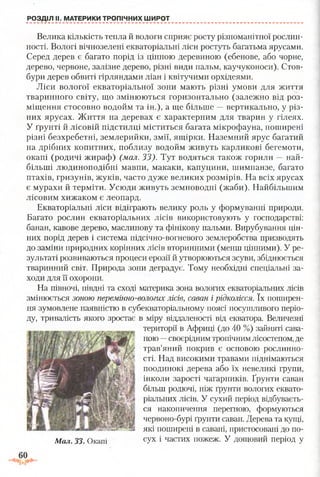РОЗДІЛ II. МАТЕРИКИ ТРОПІЧНИХ ШИРОТ
Велика кількість тепла й вологи сприяє росту різноманітної рослин­
ності. Вологі вічнозелені екваторіальні ліси ростуть багатьма ярусами.
Серед дерев є багато порід із цінною деревиною (ебенове, або чорне,
дерево, червоне, залізне дерево, різні види пальм, каучуконоси). Стов­
бури дерев обвиті гірляндами ліан і квітучими орхідеями.
Ліси вологої екваторіальної зони мають різні умови для життя
тваринного світу, що змінюються горизонтально (залежно від роз­
міщення стосовно водойм та ін.), а ще більше —вертикально, у різ­
них ярусах. Життя на деревах є характерним для тварин у гілеях.
У ґрунті й лісовій підстилці міститься багата мікрофауна, поширені
різні безхребетні, землерийки, змії, ящірки. Наземний ярус багатий
на дрібних копитних, поблизу водойм живуть карликові бегемоти,
окапі (родичі жираф) (мал. 33). Тут водяться також горили —най­
більші людиноподібні мавпи, макаки, капуцини, шимпанзе, багато
птахів, гризунів, жуків, часто дуже великих розмірів. На всіх ярусах
є мурахи й терміти. Усюди живуть земноводні (жаби). Найбільшим
лісовим хижаком є леопард.
Екваторіальні ліси відіграють велику роль у формуванні природи.
Багато рослин екваторіальних лісів використовують у господарстві:
банан, кавове дерево, маслинову та фінікову пальми. Вирубування цін­
них порід дерев і система підсічно-вогневого землеробства призводять
до заміни природних корінних лісів вторинними (менш цінними). У ре­
зультаті розвиваються процеси ерозії й утворюються зсуви, збіднюється
тваринний світ. Природа зони деградує. Тому необхідні спеціальні за­
ходи для її охорони.
На півночі, півдні та сході материка зона вологих екваторіальних лісів
змінюється зоною перемінно-вологих лісів, саван і рідколісся. їх поширен­
ня зумовлене наявністю в субекваторіальному поясі посушливого періо­
ду, тривалість якого зростає в міру віддаленості від екватора. Величезні
території в Африці (до 40 %) зайняті сава­
ною —своєрідним тропічнимлісостепом, де
трав’яний покрив є основою рослинно­
сті. Над високими травами піднімаються
поодинокі дерева або їх невеликі групи,
інколи зарості чагарників. Ґрунти саван
більш родючі, ніж ґрунти вологих еквато­
ріальних лісів. У сухий період відбуваєть­
ся накопичення перегною, формуються
червоно-бурі фунти саван. Дерева та кущі,
які поширені в савані, пристосовані до по-
Мал. 33. Окапі СУХ і частих пожеж. У дощовий період у
 
