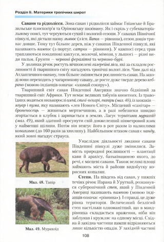 Розділ II. Материки тропічних широт
Савани та рідколісся. Зона саван і рідколісся займає Гвіанське й Бра­
зильське плоскогір’я та Орінокську низовину. Як і скрізь у субекваторіа­
льному поясі, тут чергуються сухий і вологий сезони. У саванах Північної
півкулі, які дістали назву льянос (з ісп. llanos —рівнини), сезон дощів три­
ває довше. Тому тут більше дерев, ніж у саванах Південної півкулі, які
називають кампос (з португ. campos —рівнини). У кампосі серед трав
трапляються поодинокі кактуси, молочаї, мімози, у льяносі —різні ви­
ди пальм. Ґрунти —червоні фералітні та червоно-бурі.
У долинах річок ростуть вічнозелені галерейніліси,які за складом рос­
линності й тваринного світу нагадують тропічні вологі ліси. Чим далі від
Атлантичного океану, тим більше змінюється рослинність саван. На захо­
ді вони переходять у чагарникову савану, де росте дуже тверде дерево кеб-
рачо (мовою індіанців означає «зламай сокиру»).
Тваринний світ саван Південної Америки значно бідніший за
тваринний світ Африки. Тут немає великих табунів копитних. Із траво­
їдних водяться низькорослі олені, свині-пекарі, тапіри (мол. 48), із хижаків —
ягуар і пума, яку називають «лев Нового Світу». Місцевий «санітар» —
броненосець — живиться мертвечиною, а в разі небезпеки швидко
згортається в клубок і заривається в землю. Ласує термітами мурахоїд
(мал. 49), який здатний просунути свій довжелезний півметровий язик
у найменші щілини. Потім він втягує його в рот разом із налиплими
комахами (до 160 разів за хвилину). Найбільшим птахом саван є нанду,
Унаслідок діяльності людини савани
Південної півкулі дуже змінилися. За­
мість природної рослинності — плантації
кави й арахісу, батьківщиною якого, до
речі, є місцеві савани. Також великі площі
займають міста й райони видобутку ко­
рисних копалин.
Степи. На південь від саван, у нижніх
течіях річок Парана й Уругвай, розкинув­
ся субтропічний степ, який у Південній
Америці називають пампою (мовою інді­
анців означає «рівнина»), І справді, це дуже
рівна територія. Величезний безлісий
степ настільки одноманітний, що в манд­
рівника складається враження, ніби він
заблукав і кружляє на одному місці. Схід­
на й західна частини пампи відрізняються
лише кількістю опадів. У західній частині
108
який зовні нагадує страуса.
Мал. 48. Тапір
Мал. 49. Мурахоїд
 