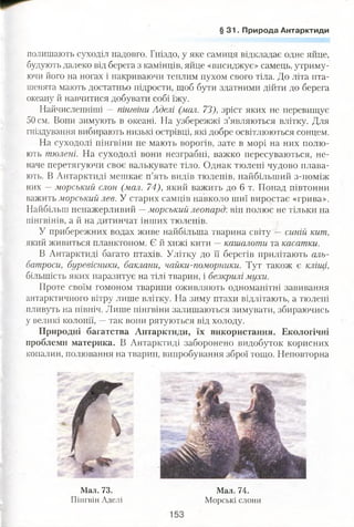 § 31. Природа Антарктиди
полишають суходіл надовго. Гніздо, у яке самиця відкладає одне яйце,
будують далеко від берега з камінців, яйце «висиджує» самець, утриму­
ючи його на ногах і накриваючи теплим пухом свого тіла. До літа пта­
шенята мають достатньо підрости, щоб бути здатними дійти до берега
океану й навчитися добувати собі їжу.
Найчисленніші — пінгвіни Аделі (мал. 73), зріст яких не перевищує
50 см. Вони зимують в океані. На узбережжі з’являються влітку. Для
гніздування вибирають низькі острівці, які добре освітлюються сонцем.
На суходолі пінгвіни не мають ворогів, зате в морі на них полю­
ють тюлені. На суходолі вони незграбні, важко пересуваються, не­
наче перетягуючи своє валькувате тіло. Однак тюлені чудово плава­
ють. В Антарктиді мешкає п’ять видів тюленів, найбільший з-поміж
них —морський слон (мал. 74), який важить до 6 т. Понад гіівтонни
важить морський лев. У старих самців навколо шиї виростає «грива».
Найбільш ненажерливий —морський леопард:він полює не тільки на
пінгвінів, а й на дитинчат інших тюленів.
У прибережних водах живе найбільша тварина світу — синій кит,
який живиться планктоном. Є й хижі кити —кашалоти та касатки.
В Антарктиді багато птахів. Улітку до її берегів прилітають аль­
батроси, буревісники, баклани, чайки-поморники. Тут також є кліщі,
більшість яких паразитує на тілі тварин, і безкрилі мухи.
Проте своїм гомоном тварини оживляють одноманітні завивання
антарктичного вітру лише влітку. На зиму птахи відлітають, а тюлені
пливуть на північ. Лише пінгвіни залишаються зимувати, збираючись
у великі колонії, —так вони рятуються від холоду.
Природні багатства Антарктиди, їх використання. Екологічні
проблеми материка. В Антарктиді заборонено видобуток корисних
копалин, полювання на тварин, випробування зброї тощо. Неповторна
Мал. 73.
Пінгвін Аделі
Мал. 74.
Морські слони
 