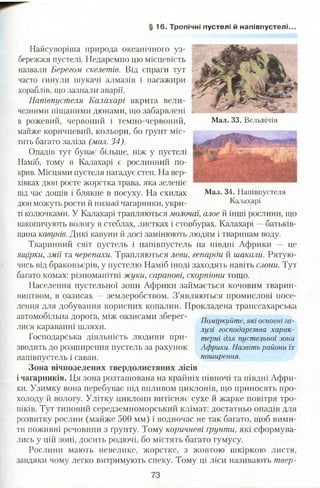 § 1 6 . Тропічні пустелі й напівпустелі.
Мал. 33. Вельвічія
Мал. 34. Напівпустеля
Калахарі
Найсуворіша природа океанічного уз­
бережжя пустелі. Недаремно цю місцевість
назвали Берегом скелетів. Від спраги тут
часто гинули шукачі алмазів і пасажири
кораблів, що зазнали аварії.
Напівпустеля Калахарі вкрита вели­
чезними піщаними дюнами, що забарвлені
в рожевий, червоний і темно-червоний,
майже коричневий, кольори, бо ґрунт міс­
тить багато заліза (мал. 34).
Опадів тут буває більше, ніж у пустелі
Наміб, тому в Калахарі є рослинний по­
крив. Місцями пустеля нагадує степ. На вер­
хівках дюн росте жорстка трава, яка зеленіє
під час дощів і блякне в посуху. На схилах
дюнможуть рости й низькі чагарники, укри­
ті колючками. У Калахарі трапляються молочаї, алое й інші рослини, що
накопичують вологу в стеблах, листках і стовбурах. Калахарі —батьків­
щина кавунів. Дикі кавуни й досі замінюють людям і тваринам воду.
Тваринний світ пустель і напівпустель на півдні Африки — це
ящірки, змії та черепахи. Трапляються леви, гепарди й шакали. Рятую­
чись від браконьєрів, у пустелю Наміб іноді заходять навіть слони. Тут
багато комах: різноманітні жуки, саранові, скорпіони тощо.
Населення пустельної зони Африки займається кочовим тварин­
ництвом, в оазисах —землеробством. З’являються промислові посе­
лення для добування корисних копалин. Прокладена транссахарська
автомобільна дорога, між оазисами зберег­
лися караванні шляхи.
Господарська діяльність людини при­
зводить до розширення пустель за рахунок
напівпустель і саван.
Зона вічнозелених твердолистяних лісів
і чагарників. Ця зона розташована на крайніх півночі та півдні Афри­
ки. Узимку вона перебуває під впливом циклонів, що приносять про­
холоду й вологу. Улітку циклони витісняє сухе й жарке повітря тро­
піків. Тут типовий середземноморський клімат: достатньо опадів для
розвитку рослин (майже 500 мм) і водночас не так багато, щоб вими­
ти поживні речовини з ґрунту. Тому коричневі ґрунти, які сформува­
лись у цій зоні, досить родючі, бо містять багато гумусу.
Рослини мають невелике, жорстке, з жовтою шкіркою листя,
завдяки чому легко витримують спеку. Тому ці ліси називають твер-
Поміркуйте, які основні га­
лузі господарства харак­
терні для пустельної зони
Африки. Назвіть райони їх
поширення.
 