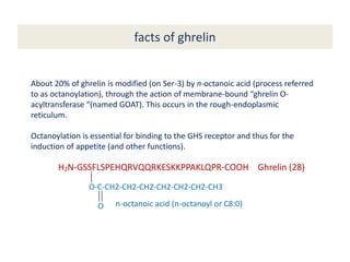 facts of ghrelin
About 20% of ghrelin is modified (on Ser-3) by n-octanoic acid (process referred
to as octanoylation), through the action of membrane-bound “ghrelin O-
acyltransferase “(named GOAT). This occurs in the rough-endoplasmic
reticulum.
Octanoylation is essential for binding to the GHS receptor and thus for the
induction of appetite (and other functions).
H2N-GSSFLSPEHQRVQQRKESKKPPAKLQPR-COOH
O-C-CH2-CH2-CH2-CH2-CH2-CH2-CH3
O n-octanoic acid (n-octanoyl or C8:0)
Ghrelin (28)
 