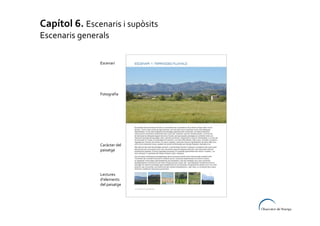 Capítol 6. Escenaris i supòsits
Escenaris generals
Escenari

Fotografia

Caràcter del
paisatge

Lectures
d’elements
del paisatge

 