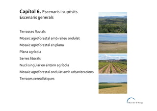 Capítol 6. Escenaris i supòsits
Escenaris generals
Terrasses fluvials
Mosaic agroforestal amb relleu ondulat
Mosaic agroforestal en plana
Plana agrícola
Serres litorals
Nucli singular en entorn agrícola
Mosaic agroforestal ondulat amb urbanitzacions
Terraces cerealístiques

 