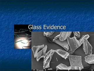 Glass Evidence 