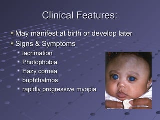 Clinical Features:Clinical Features:
May manifest at birth or develop laterMay manifest at birth or develop later
Signs & SymptomsSigns & Symptoms

lacrimationlacrimation

PhotophobiaPhotophobia

Hazy corneaHazy cornea

buphthalmosbuphthalmos

rapidly progressive myopiarapidly progressive myopia
 