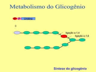 P P

Uridina

+
ligação α-1,4
ligação α-1,6

Síntese do glicogênio

 